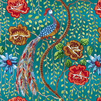 Peacock, Greeting Card