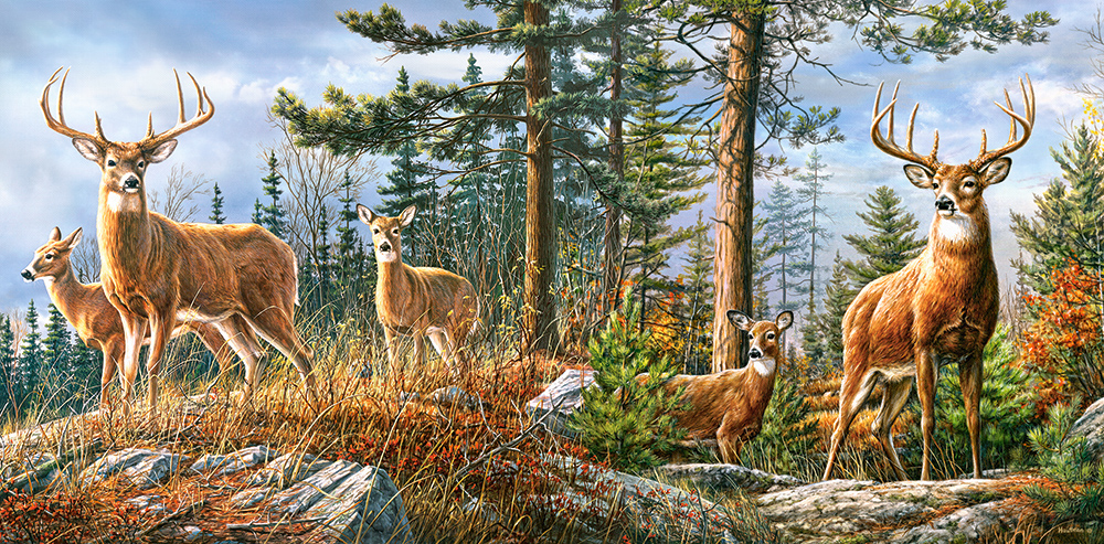 Royal Deer Family, 4000-bitarspussel (C-400317)