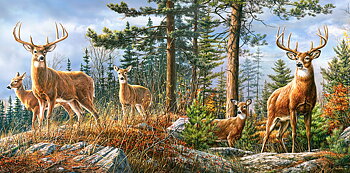Royal Deer Family, puslespil med 4000 brikker (C-400317)