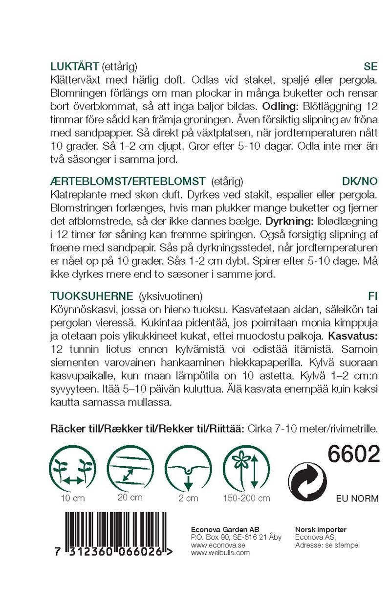 6602, Luktärt mix KRAV    Lathyrus odoratus - 2
