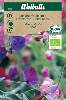 6602, Luktärt mix KRAV    Lathyrus odoratus