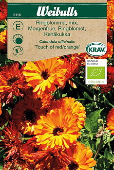 6116, Ringblomma KRAV Mix    Calendula officinalis