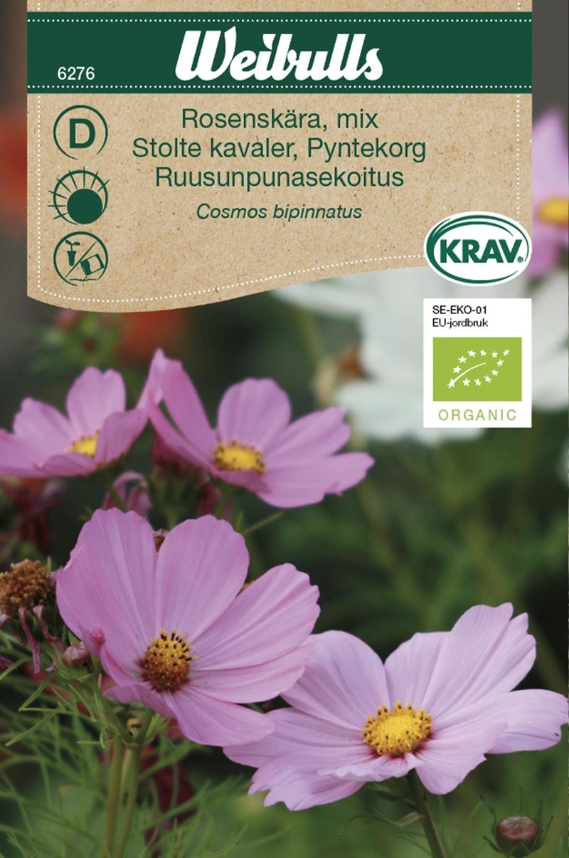 6276, Rosenskära KRAV mix    Cosmos bipinnatus