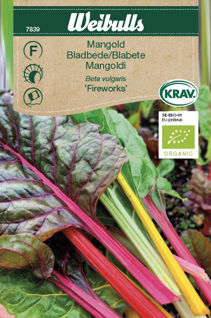 7839, Mangold, Fireworks  KRAV   Beta vulgaris