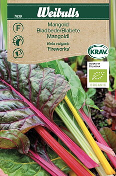 7839, Mangold, Fireworks  KRAV   Beta vulgaris