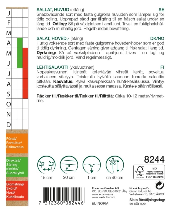 8244 Sallat, huvud- KRAV   Lactuca sativa - 2