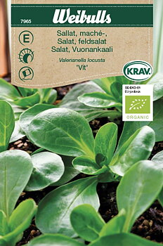 7965 Sallat, mâche- KRAV   Valerianella locusta