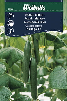 8055   Gurka, växthus-  Cucumis sativus