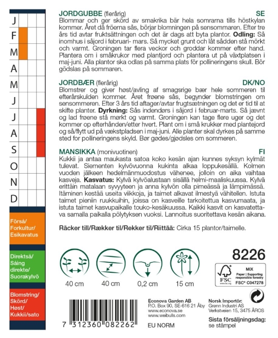8226   Jordgubbe-  Fragaria x ananassa - 2