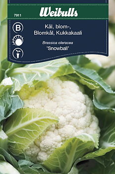 7911   Kål, blomkål-  Brassica oleracea
