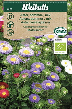 6128, Aster, KRAV Sommar mix    Callistephus chinensis