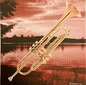 Disktrasa Trumpet