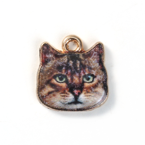 Charm   Enameld Cathead GreyBrown