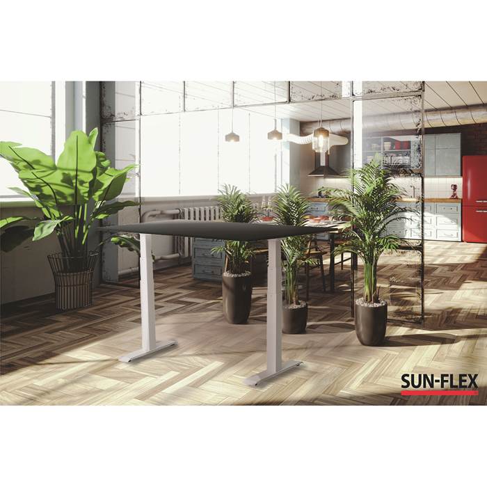 Skrivb el ED-A VI vi/al 120x80 - 3