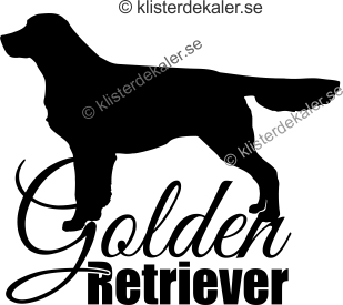 Golden Retriever, Bildekal 