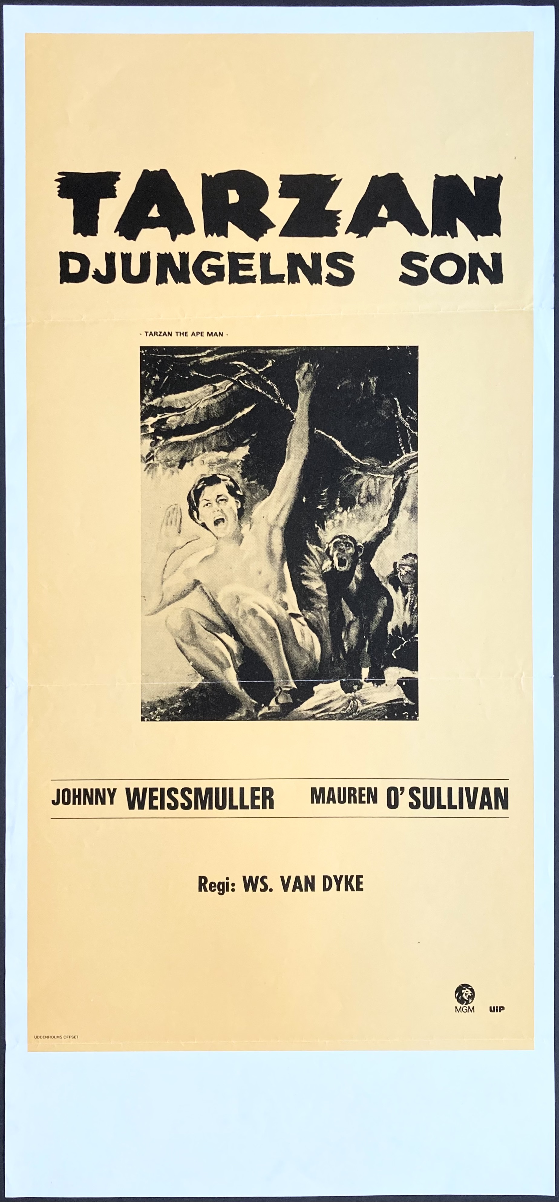 TARZAN DJUNGELNS SON (1932)