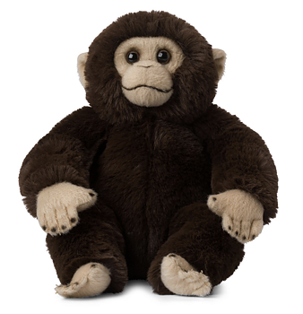 Babychimpanse som et krammedyr