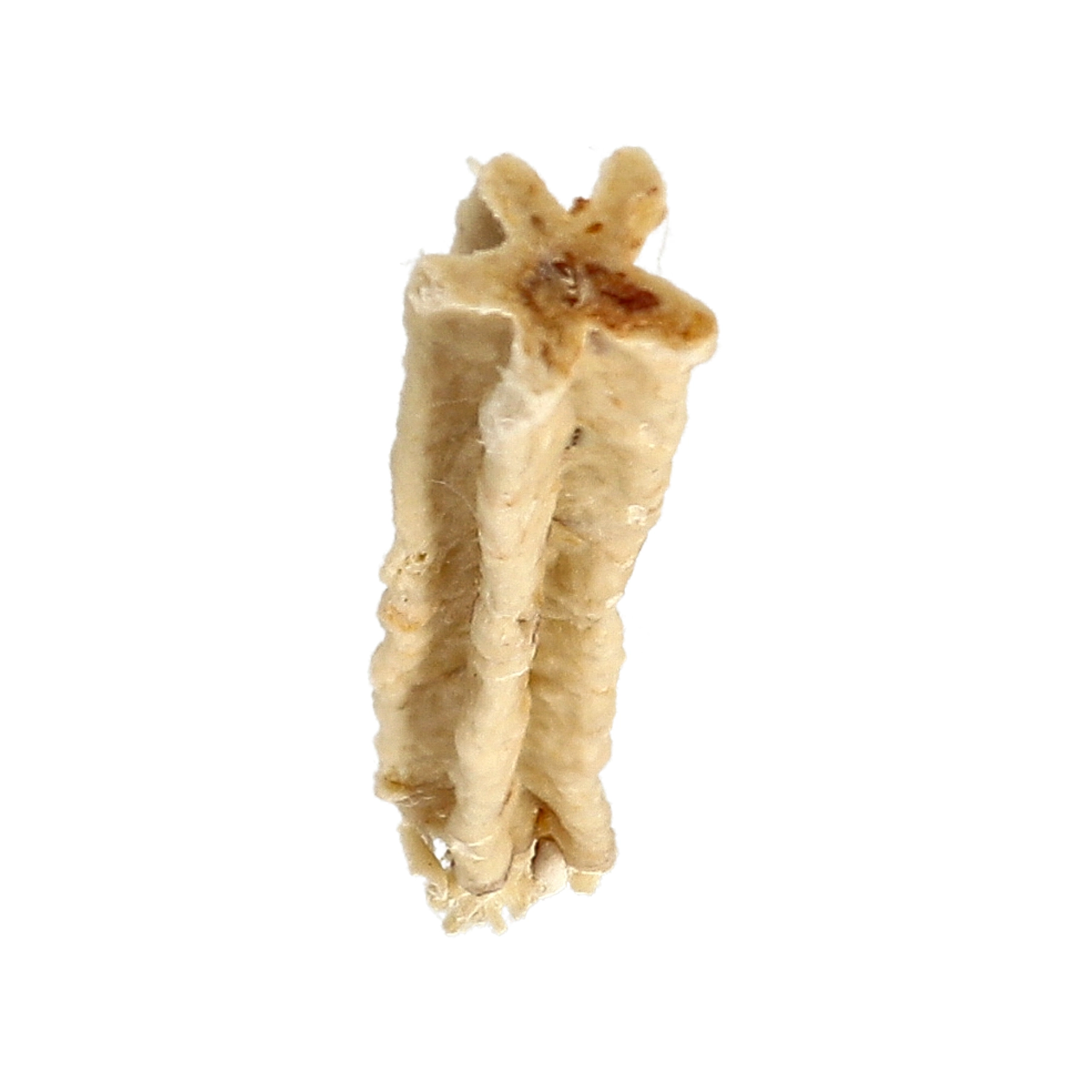 Dogman Tugg Dental Chew Bone Kyckling Small 7-Pack  - 3