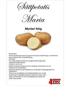 Sättpotatis Maria 2 Kilo