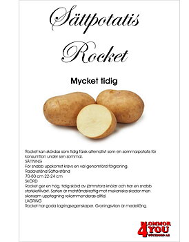 Sättpotatis Rocket 2 Kilo