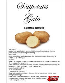 Sättpotatis Gala 2 Kilo