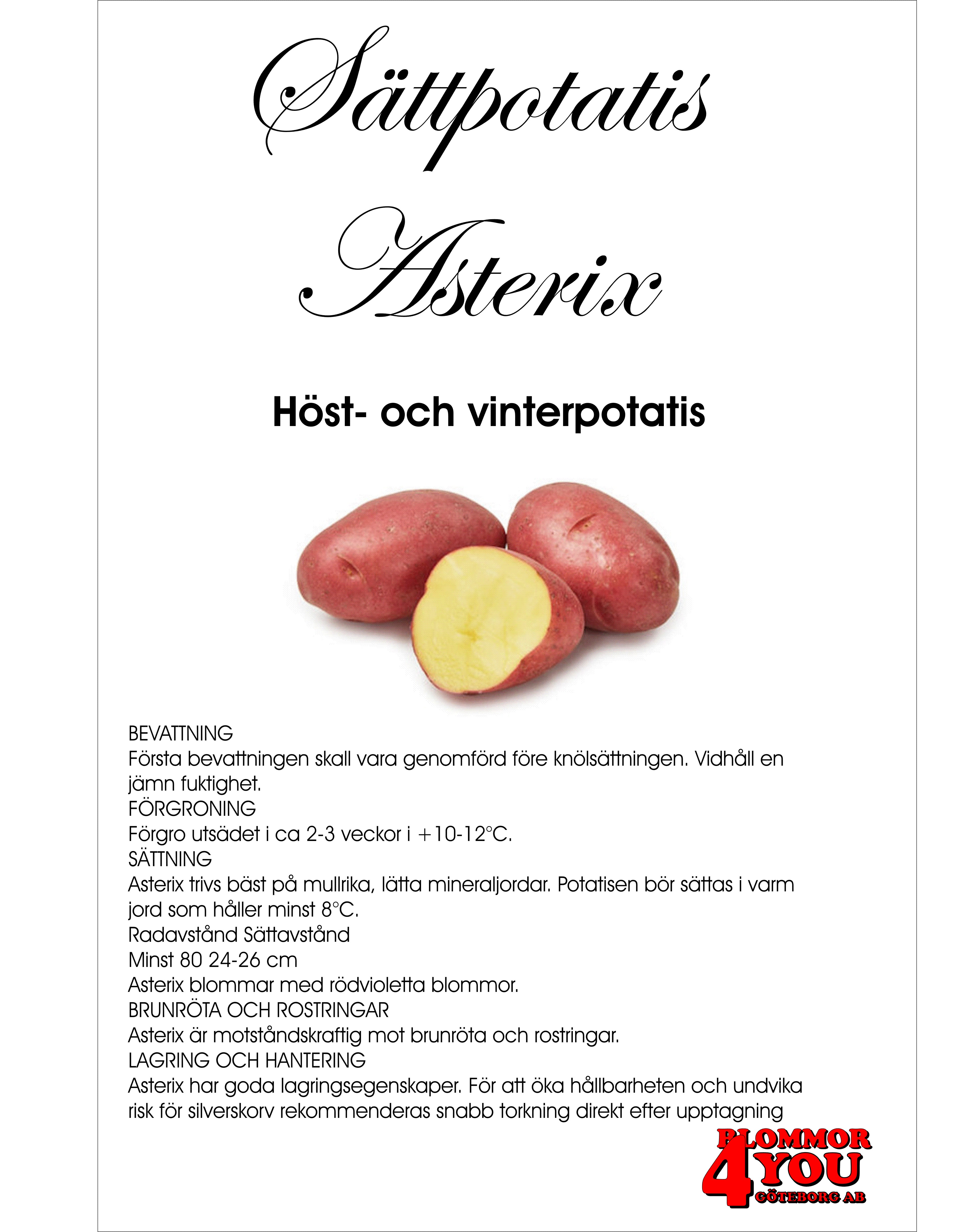 Sättpotatis Asterix 2 Kilo