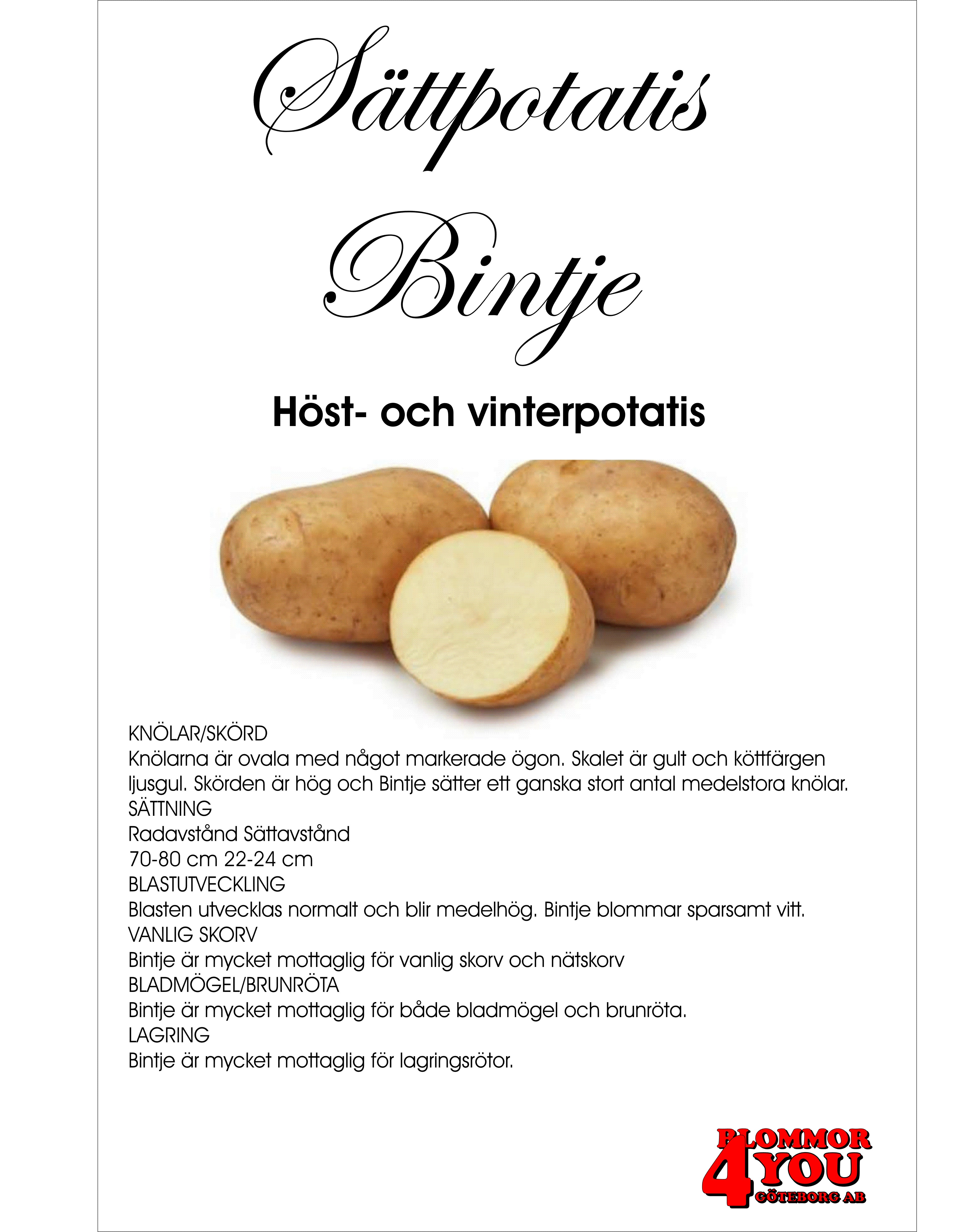 Sättpotatis Bintje 2 Kilo