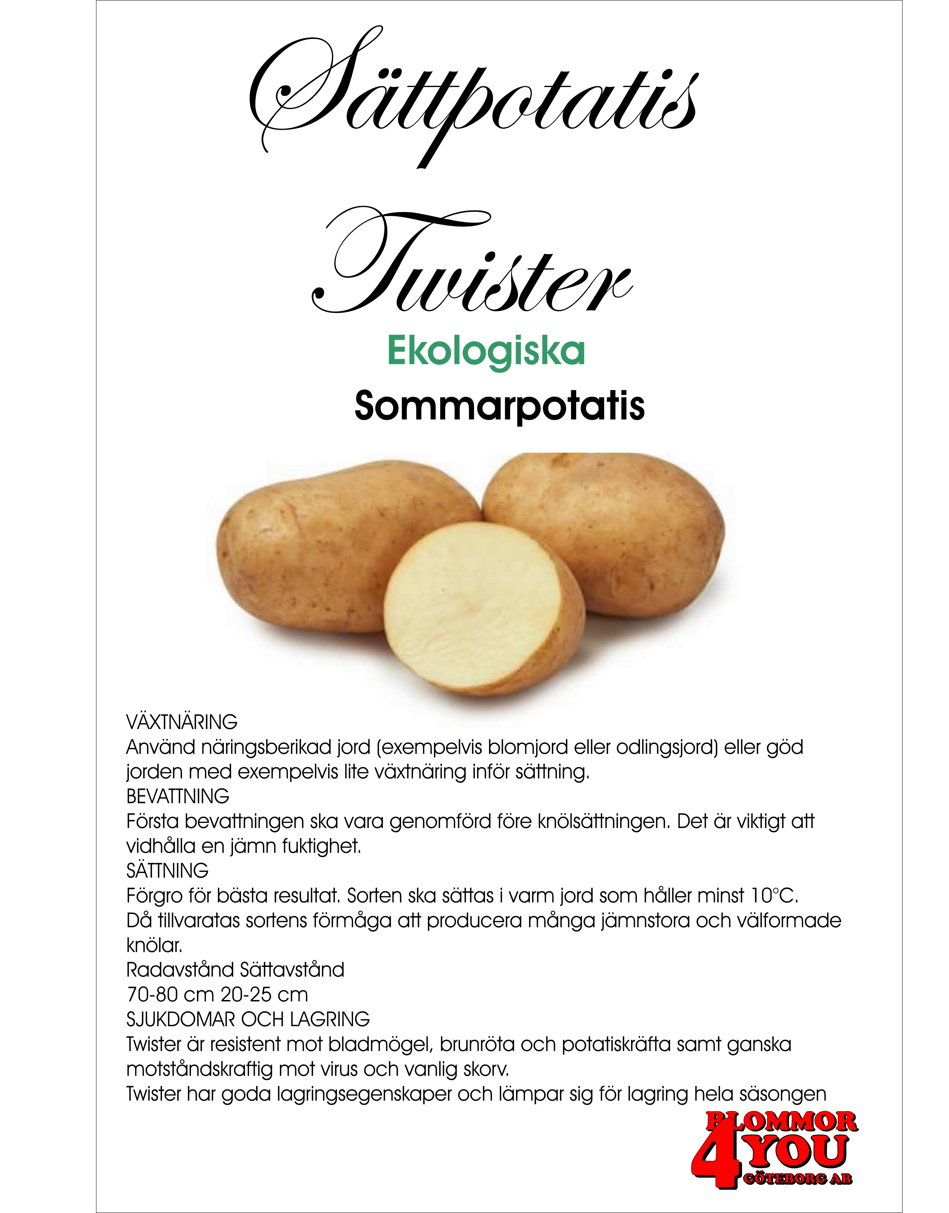 Sättpotatis Twister EKO 2 Kilo