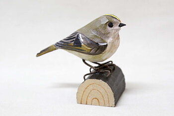 Goldcrest 11x8x5 cm