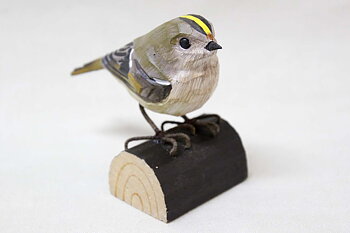 Goldcrest 11x8x5 cm