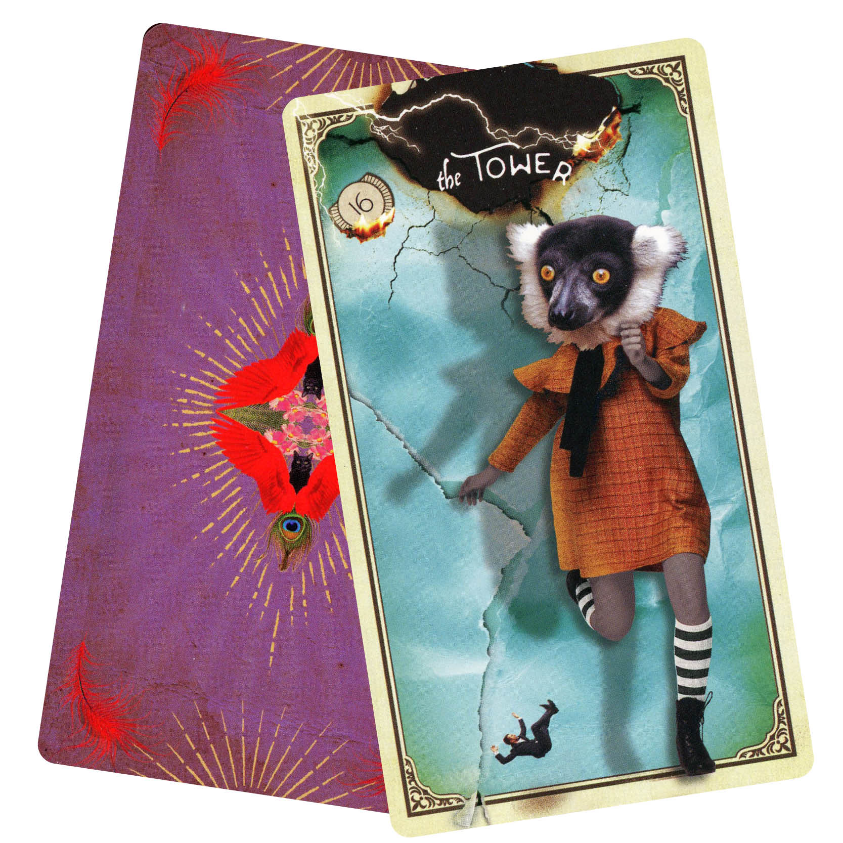 The Tarot of Curious Creatures : A 78 (+1) Card Deck and Guidebook - 2