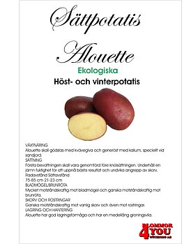 Sättpotatis Alouette Eko 2 Kilo