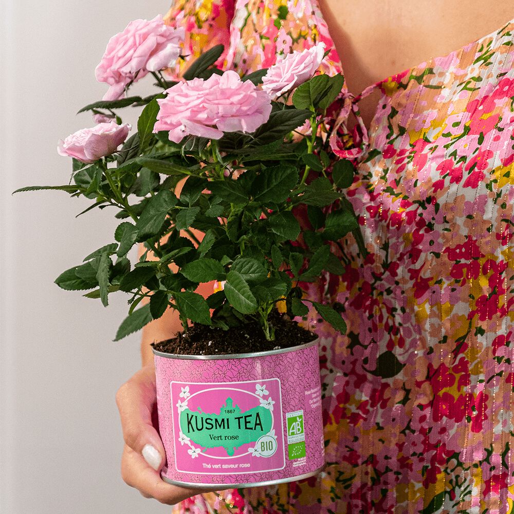 Kusmi Green Rose Ekologisk - Plåtburk 100 gram  - 5