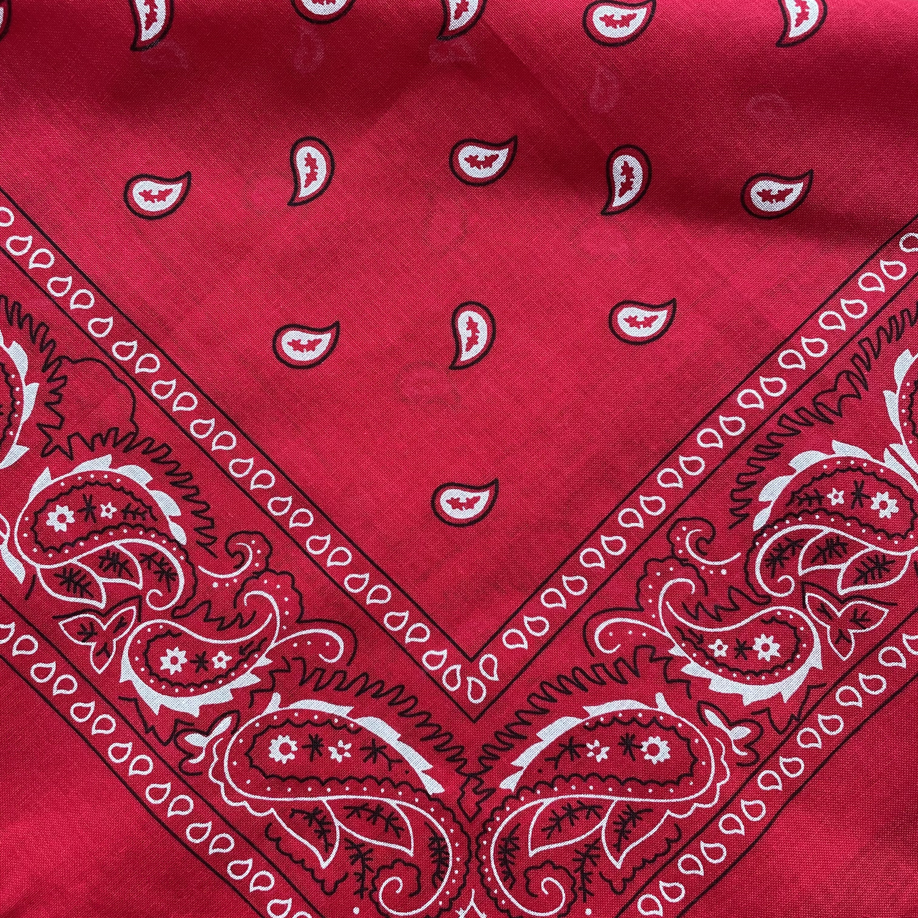 bandana röd Paisley  - 2
