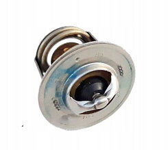 Termostat Kubota Aixam