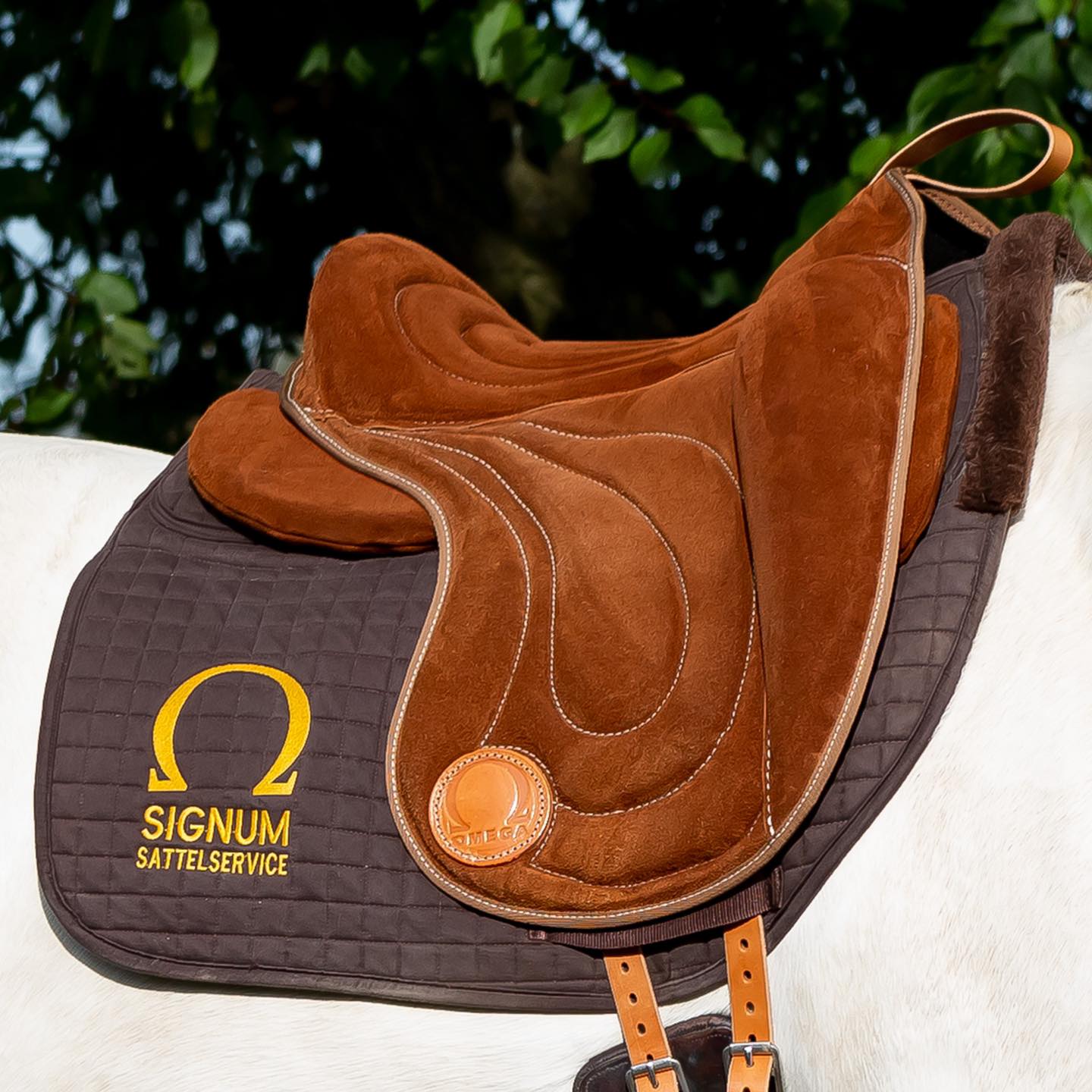 216. OMEGA Dressage barbacka pad - 2