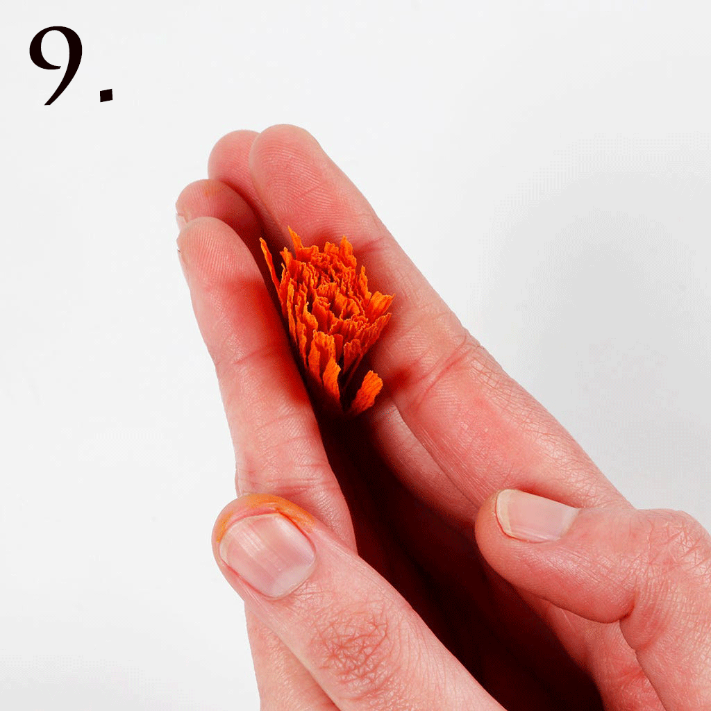 Krans pappersblommor och pampas - 10