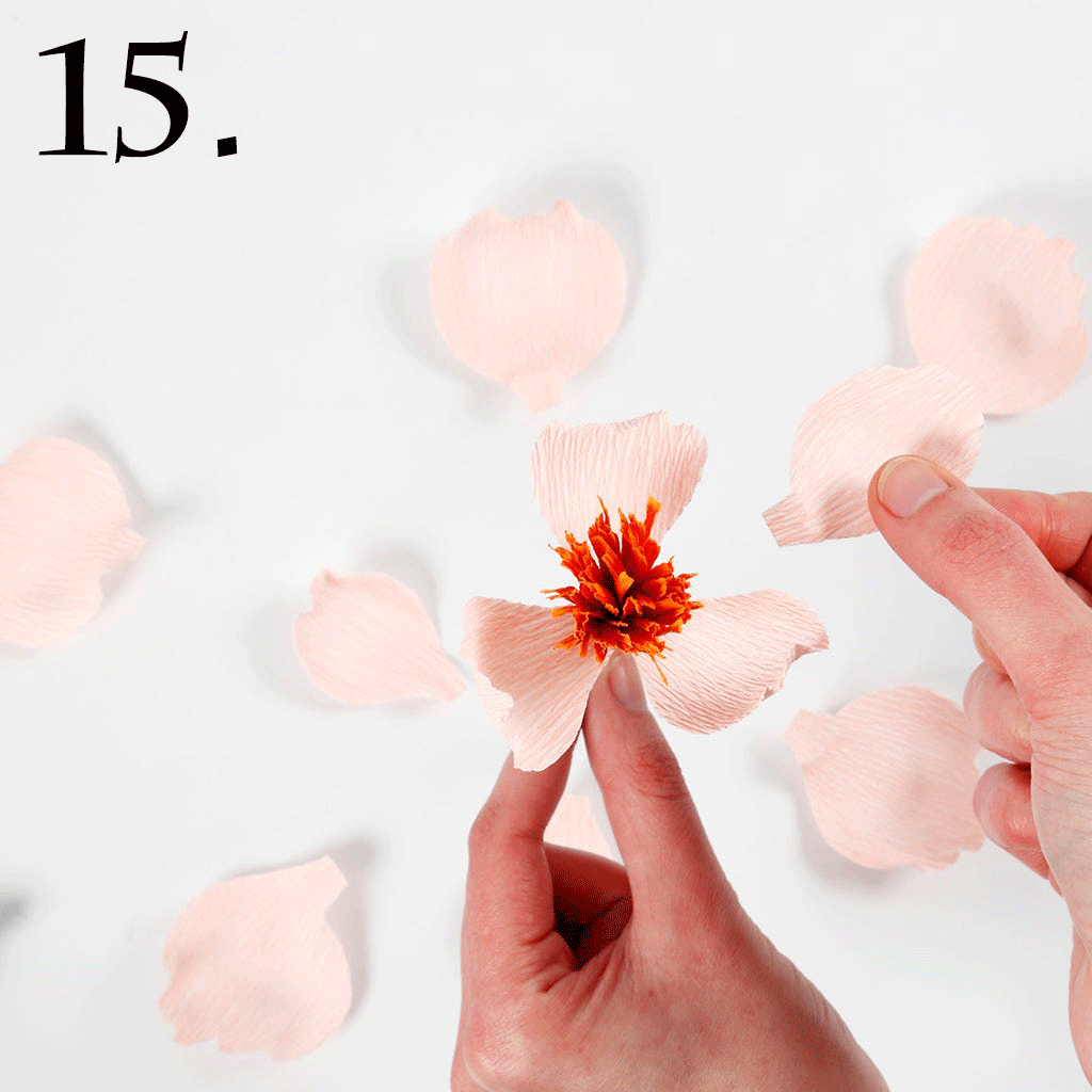 Krans pappersblommor och pampas - 16