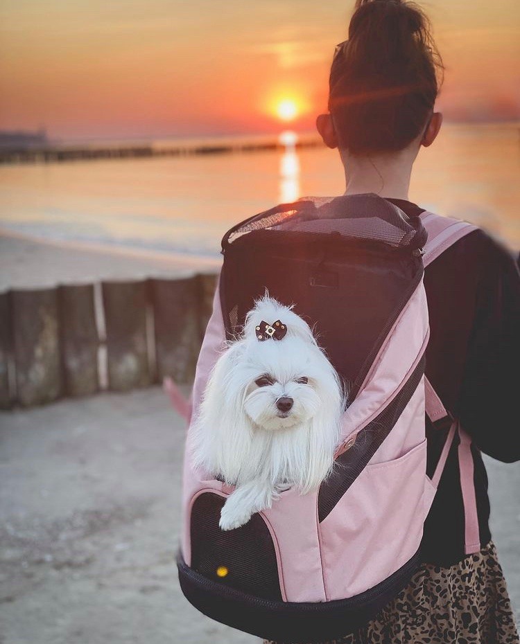 Ultralight Pro Backpack Carrier - Coral Pink - Ibiyaya - 16