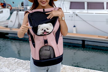 Ultralight Pro Backpack Carrier - Coral Pink -Ibiyaya