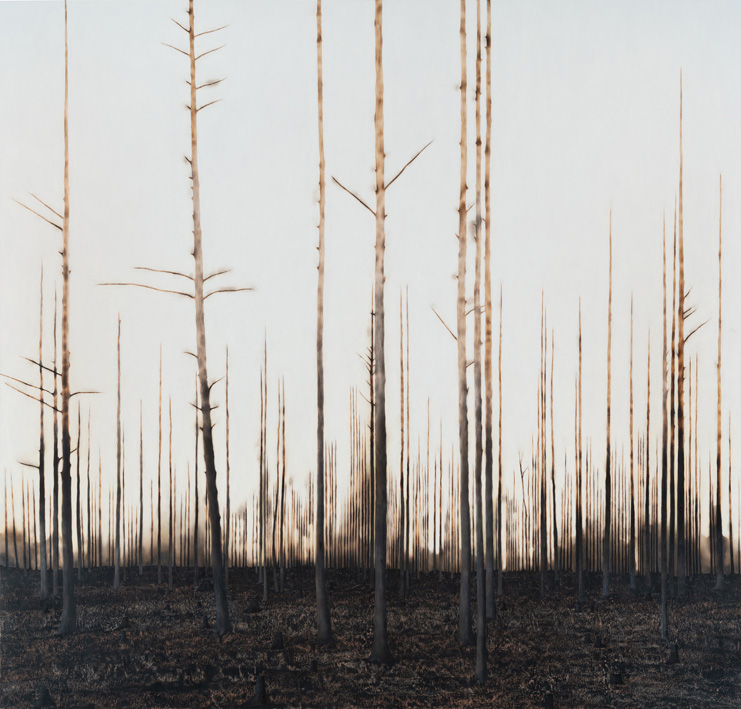 Ylva Ceder: Mildvinter - 7