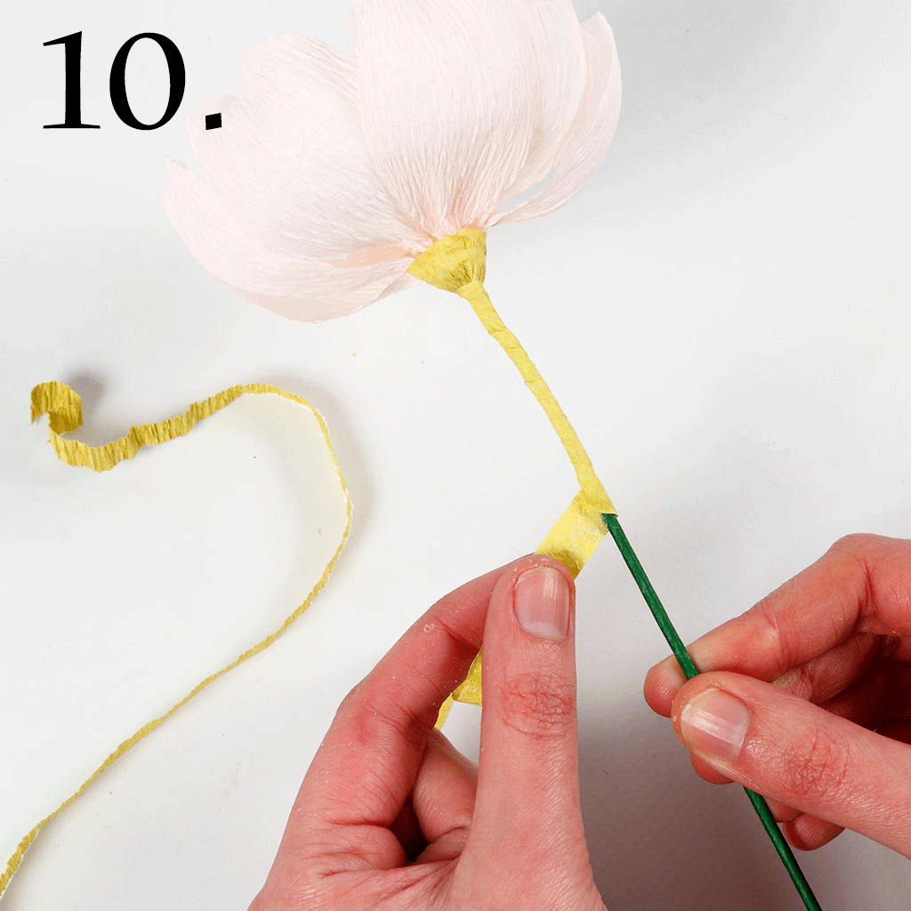Kit för pappersblommor av kräppapper - 11