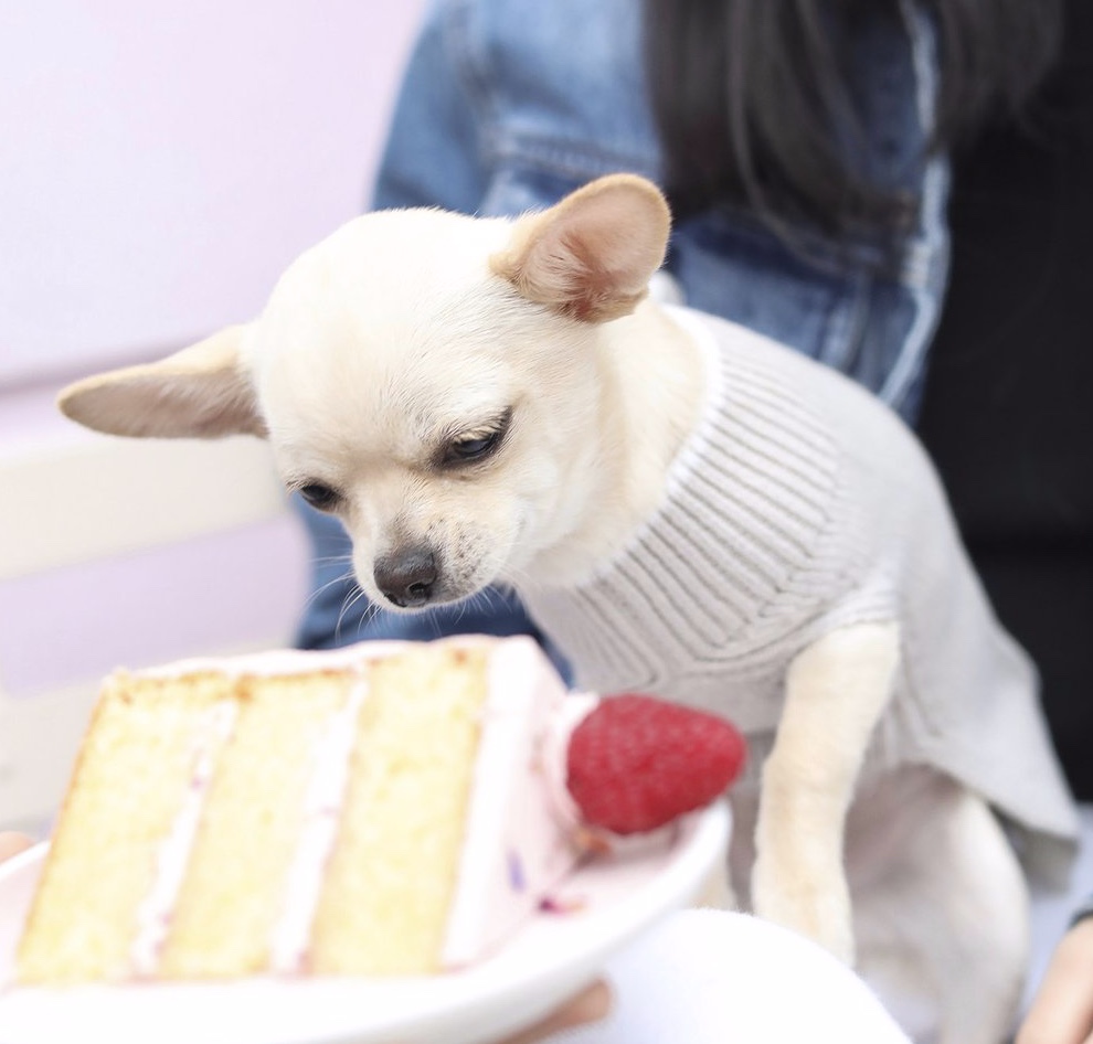 Overglam Sweater With Stripes On The Sides - 2