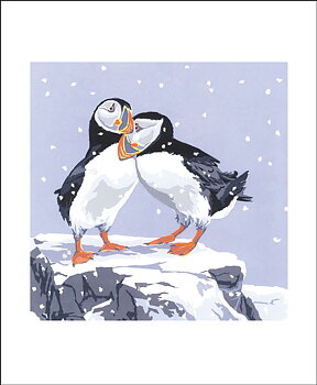Snowy Puffins, Greeting Card