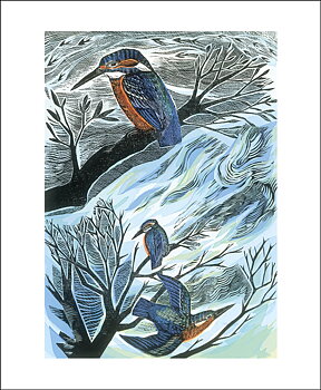 Suffolk Kingfishers, Greeting Card