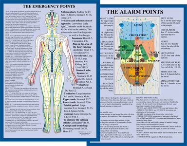 The Alarm Points and The Emergency Points, A4