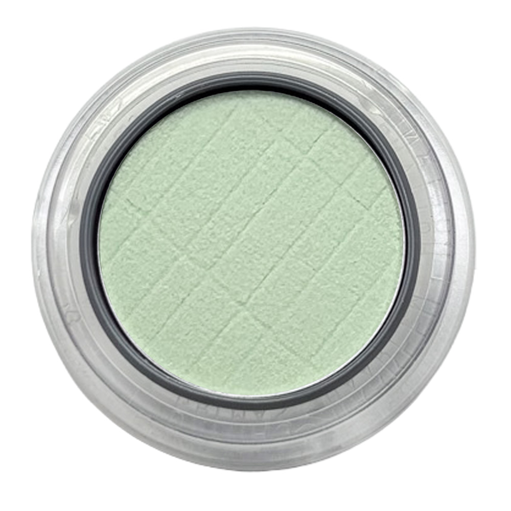 Ögonskugga / Rouge 480 Light Green - 2 gr