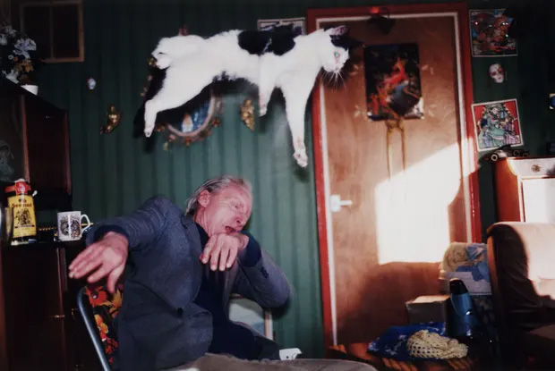 Richard Billingham: Ray's A Laugh  - 2