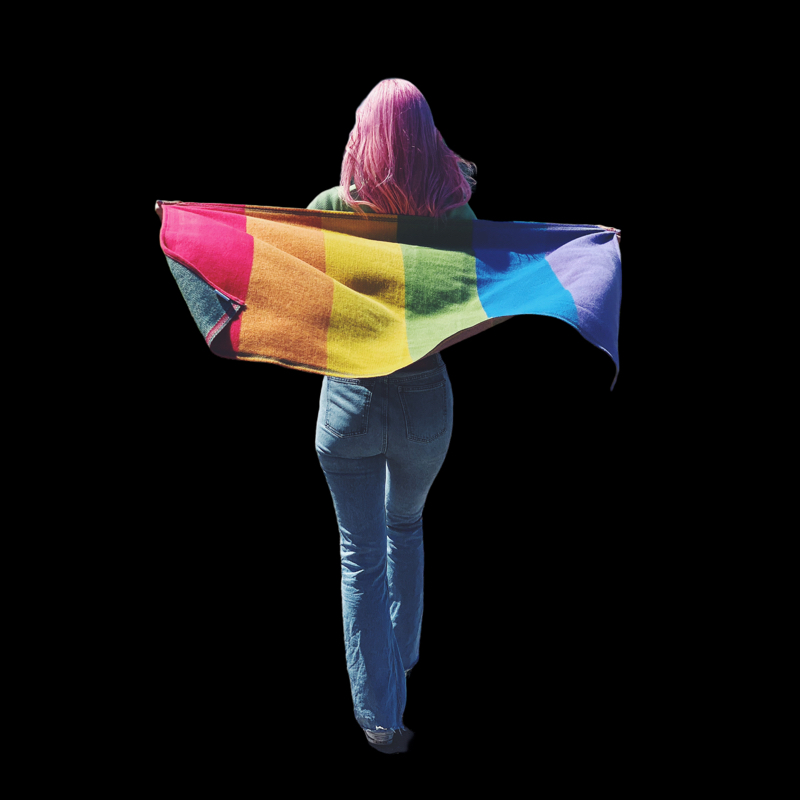 Pride Plaid aus Baumwolle  - 6