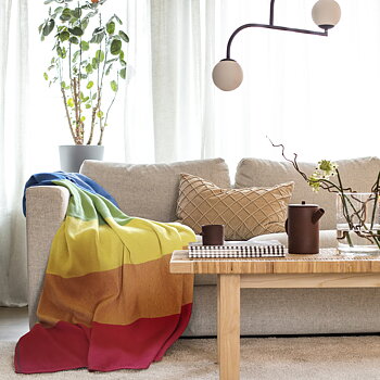 Pride Plaid aus Baumwolle 